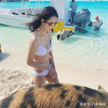 寻觅蜜平台真的假的