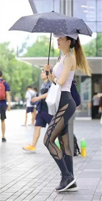 成版人快猫app下载