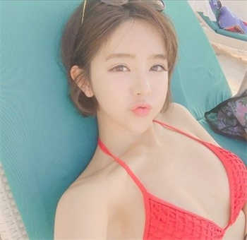 苏晚陆庭尧免费阅读